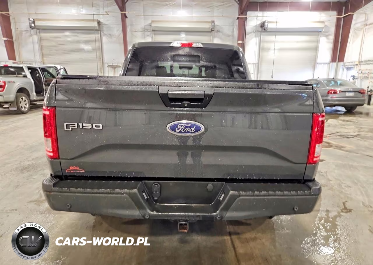 2016 Ford F150 Supercrew VIN:1FTEW1EP7GKD23802 - 6