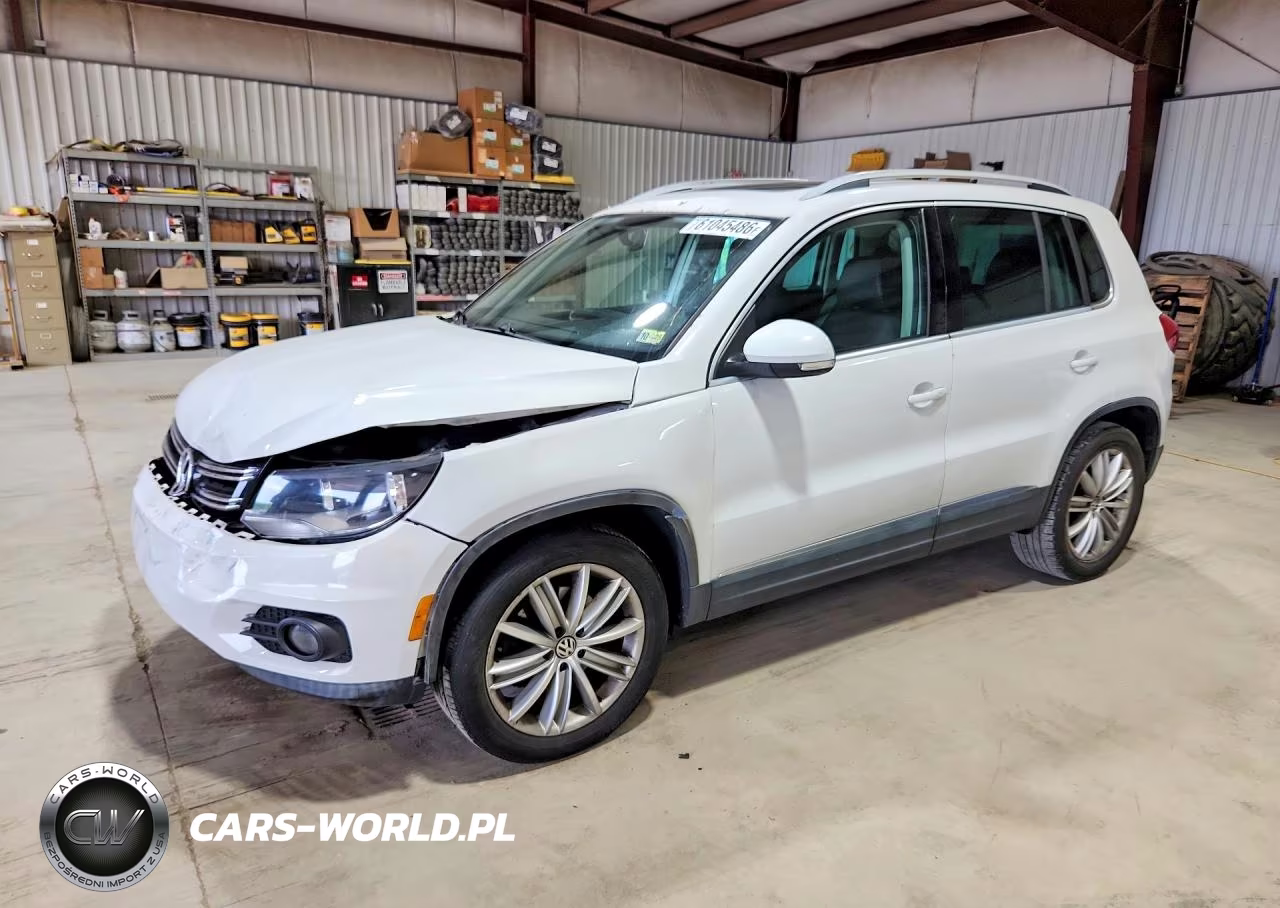 2014 Volkswagen Tiguan S VIN:WVGAV3AX5EW573608 - 1