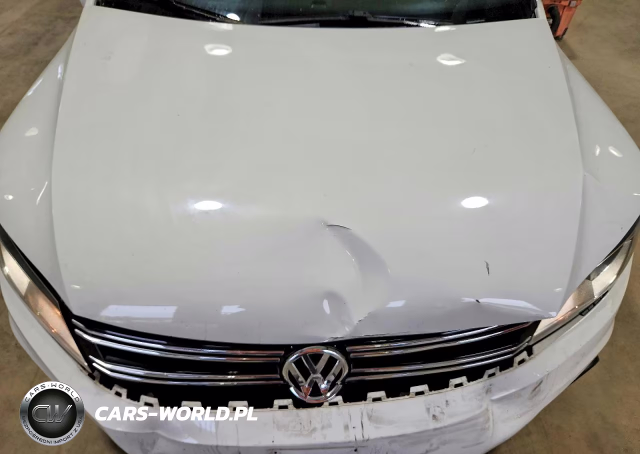2014 Volkswagen Tiguan S VIN:WVGAV3AX5EW573608 - 12