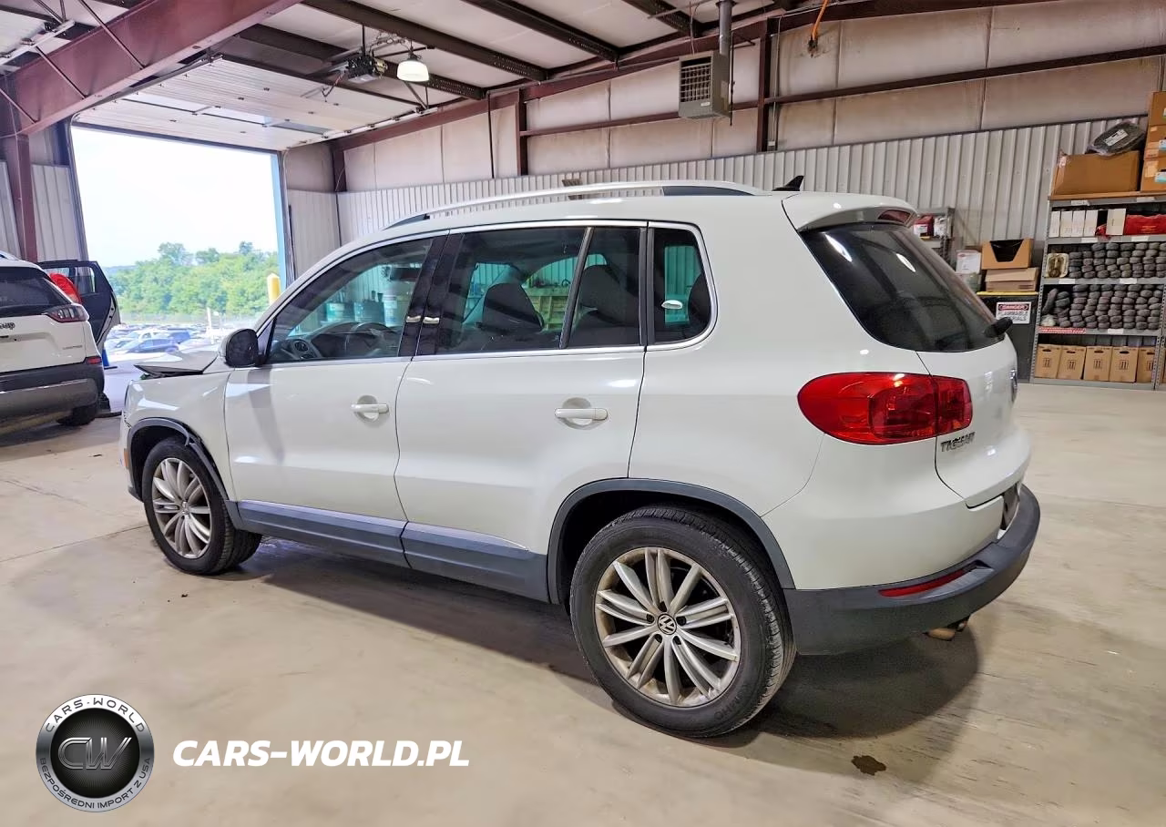 2014 Volkswagen Tiguan S VIN:WVGAV3AX5EW573608 - 2