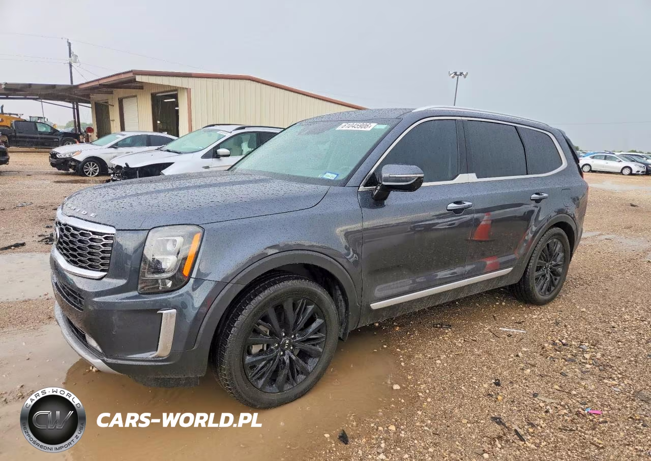 2020 Kia Telluride Sx VIN:5XYP54HC9LG063148 - 1