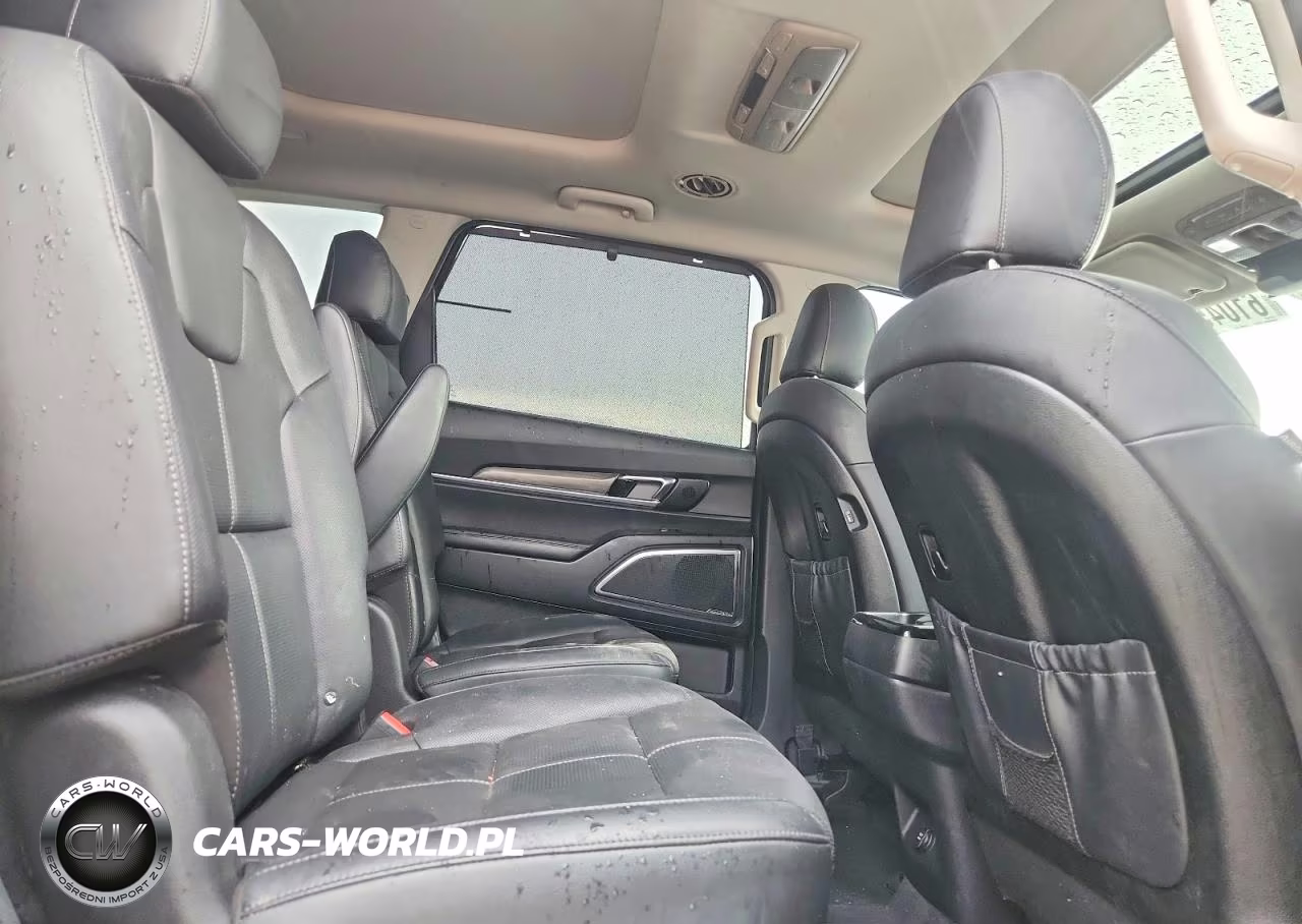 2020 Kia Telluride Sx VIN:5XYP54HC9LG063148 - 11
