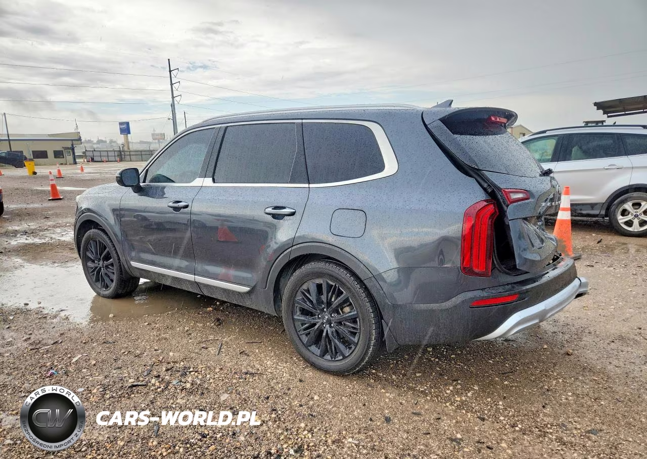 2020 Kia Telluride Sx VIN:5XYP54HC9LG063148 - 2