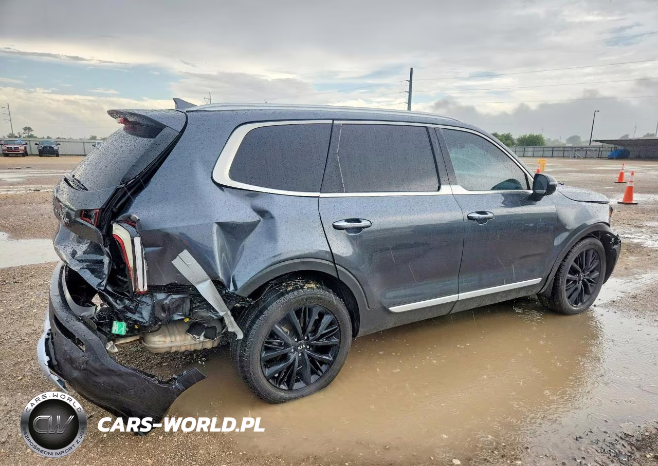 2020 Kia Telluride Sx VIN:5XYP54HC9LG063148 - 3