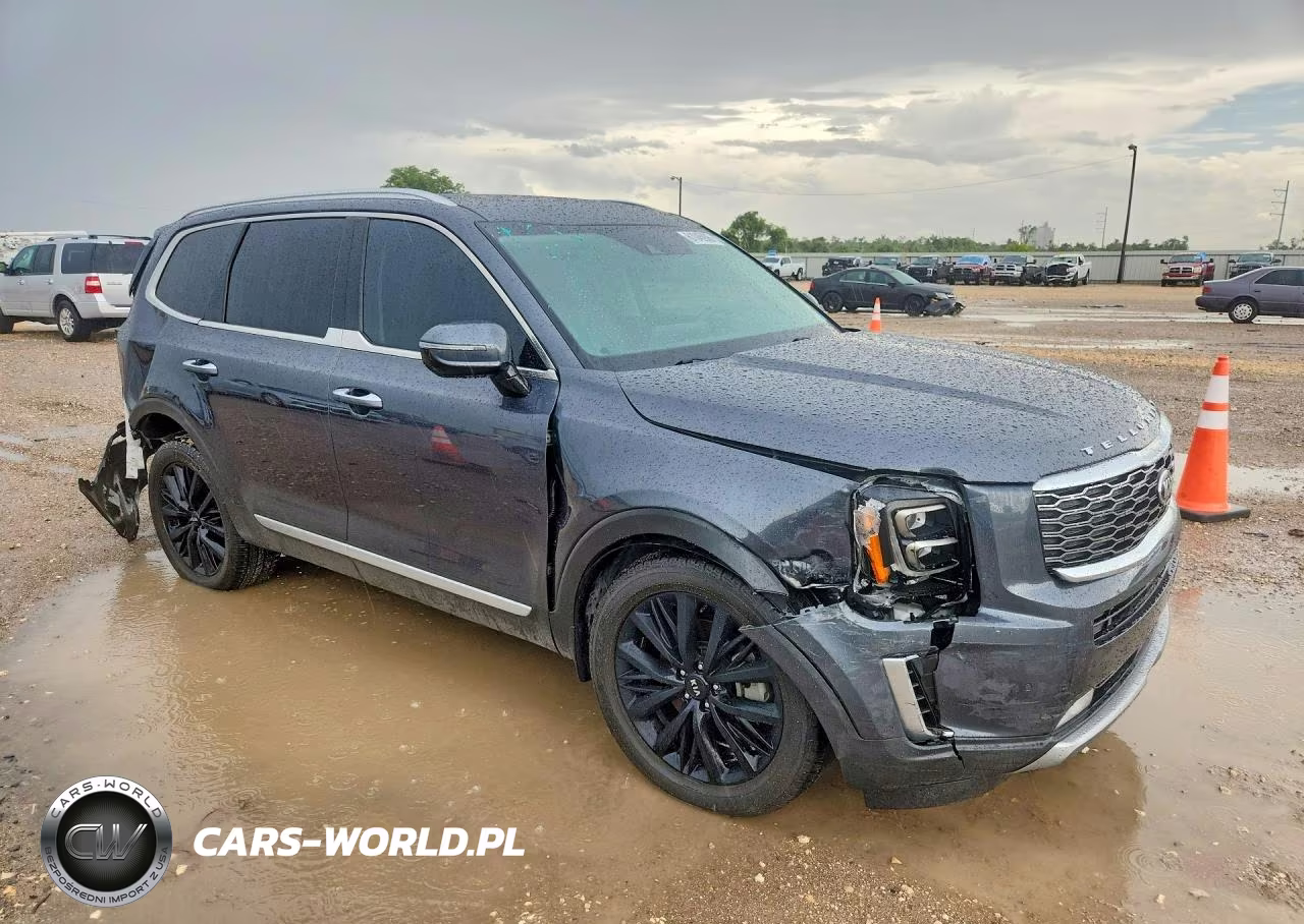 2020 Kia Telluride Sx VIN:5XYP54HC9LG063148 - 4