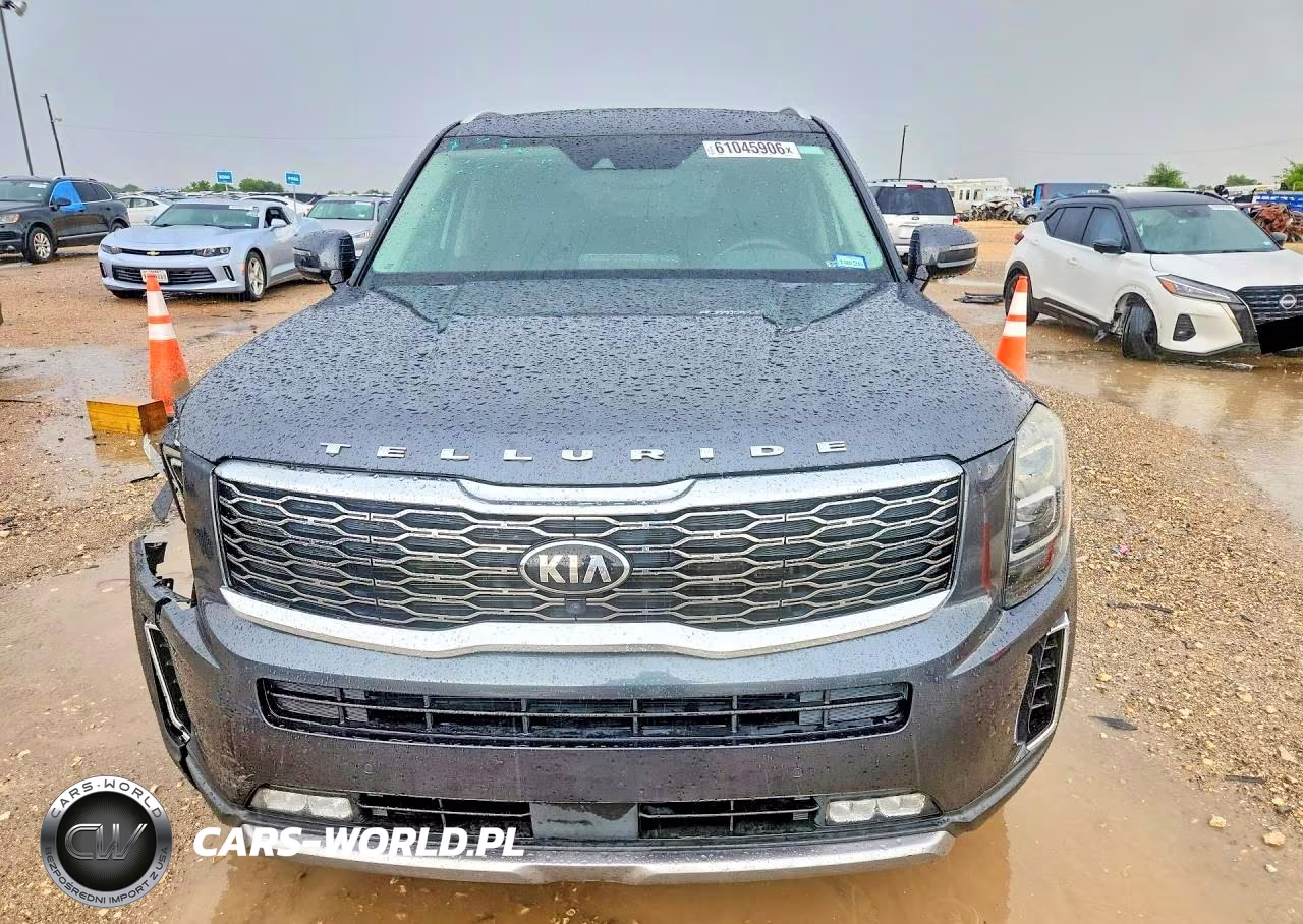 2020 Kia Telluride Sx VIN:5XYP54HC9LG063148 - 5