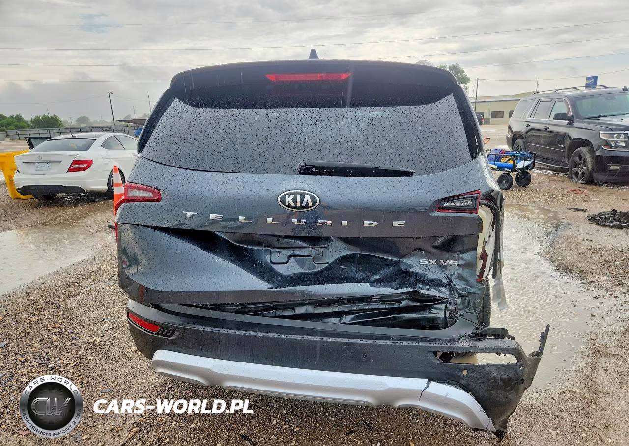 2020 Kia Telluride Sx VIN:5XYP54HC9LG063148 - 6