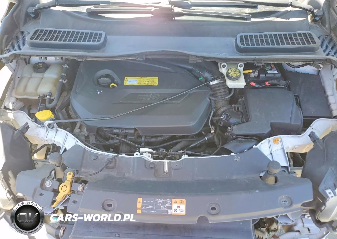 2014 Ford Escape Se VIN:1FMCU0GX0EUC01252 - 11