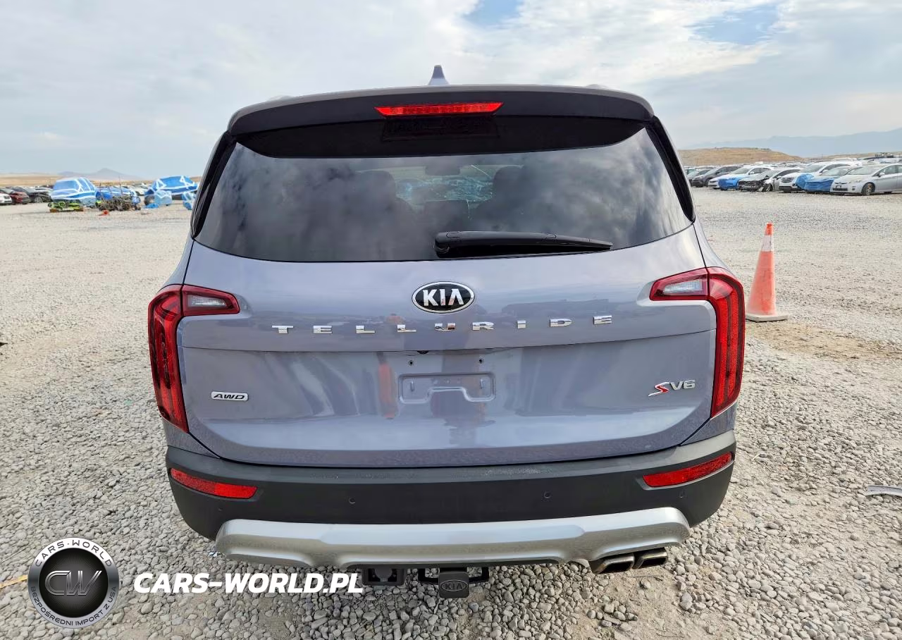 2021 Kia Telluride S VIN:5XYP6DHC5MG174925 - 6