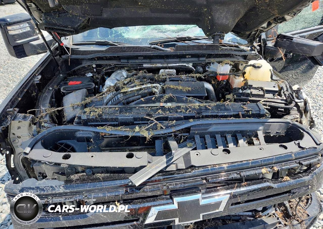 2025 Chevrolet Silverado K2500 Heavy Duty Ltz VIN:2GC4KPEY3S1203720 - 11