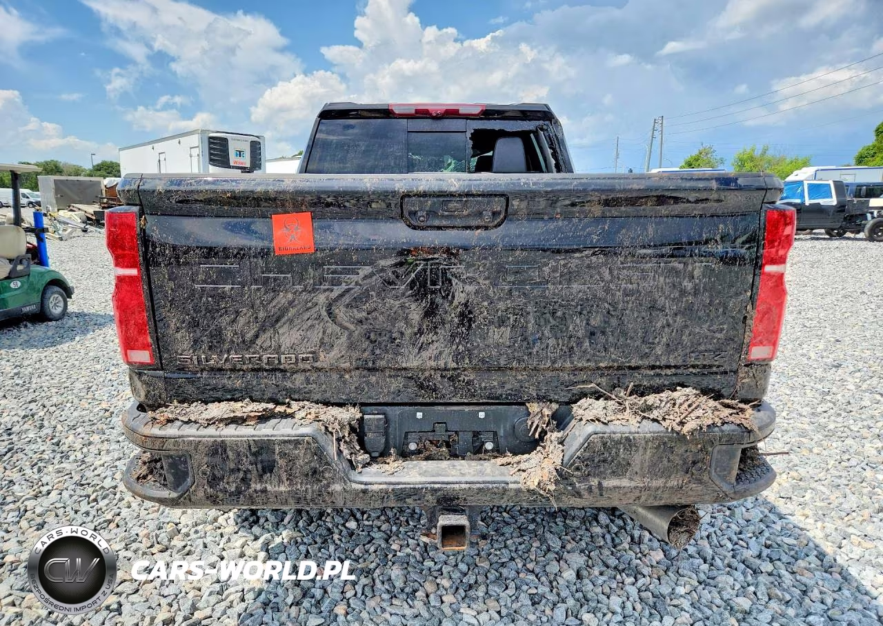 2025 Chevrolet Silverado K2500 Heavy Duty Ltz VIN:2GC4KPEY3S1203720 - 6
