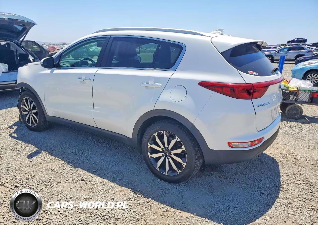 2019 Kia Sportage Ex VIN:KNDPN3AC4K7589624 - 2