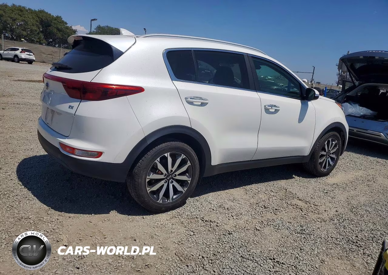 2019 Kia Sportage Ex VIN:KNDPN3AC4K7589624 - 3