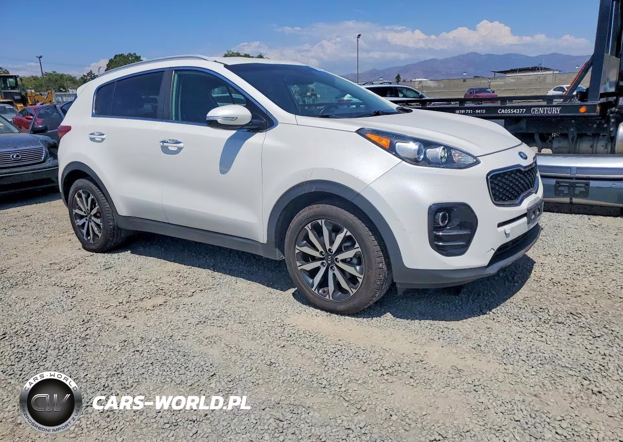 2019 Kia Sportage Ex VIN:KNDPN3AC4K7589624 - 4