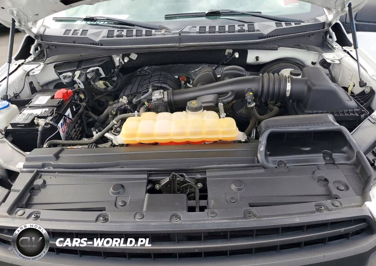 2019 Ford F150 VIN:1FTMF1CB2KKC24350 - 11