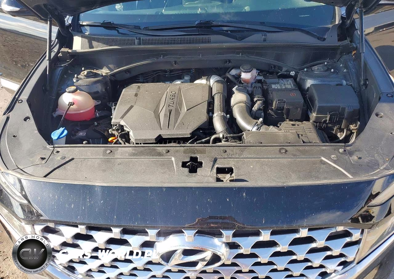 2021 Hyundai Santa Fe Limited VIN:5NMS4DAL2MH309388 - 12
