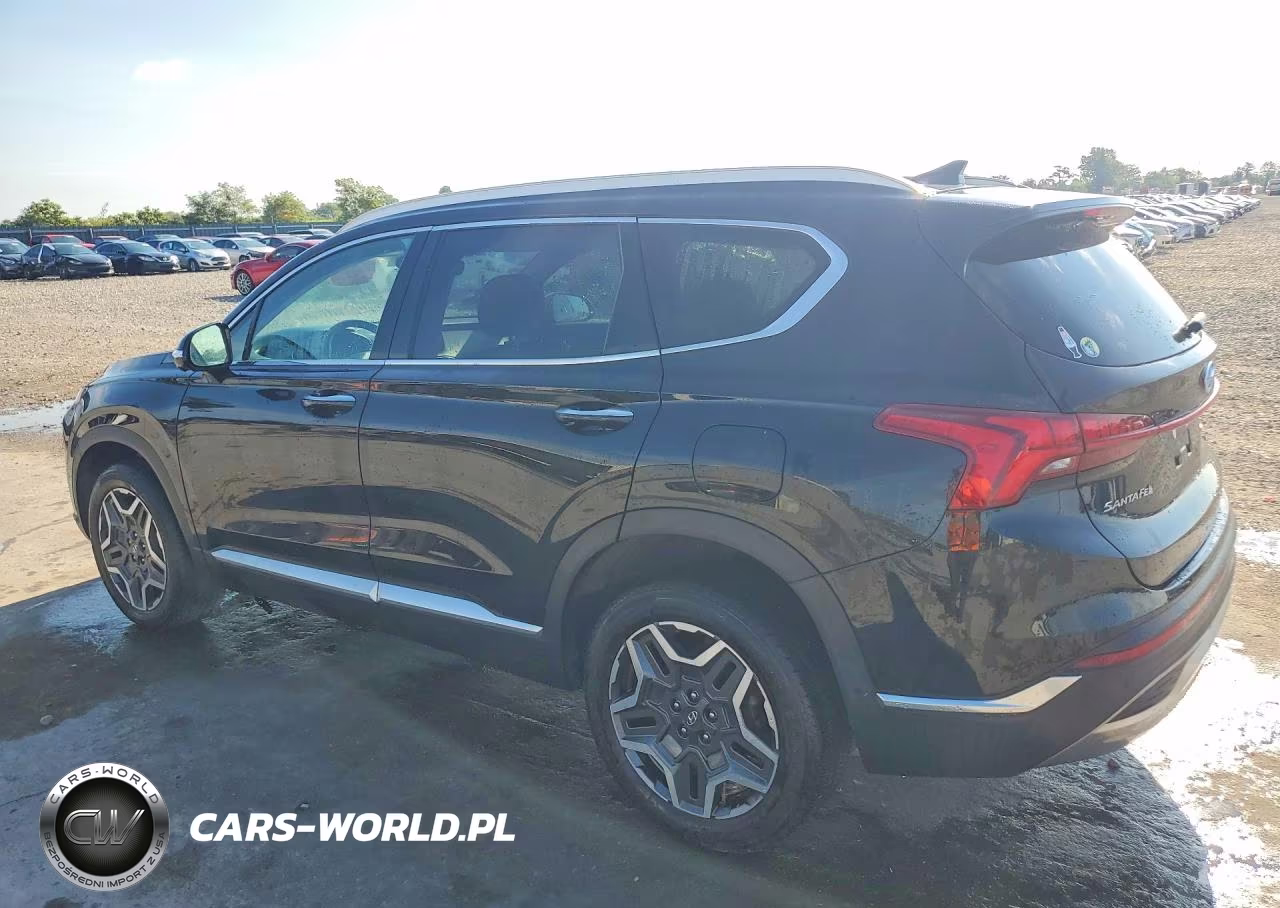 2021 Hyundai Santa Fe Limited VIN:5NMS4DAL2MH309388 - 2