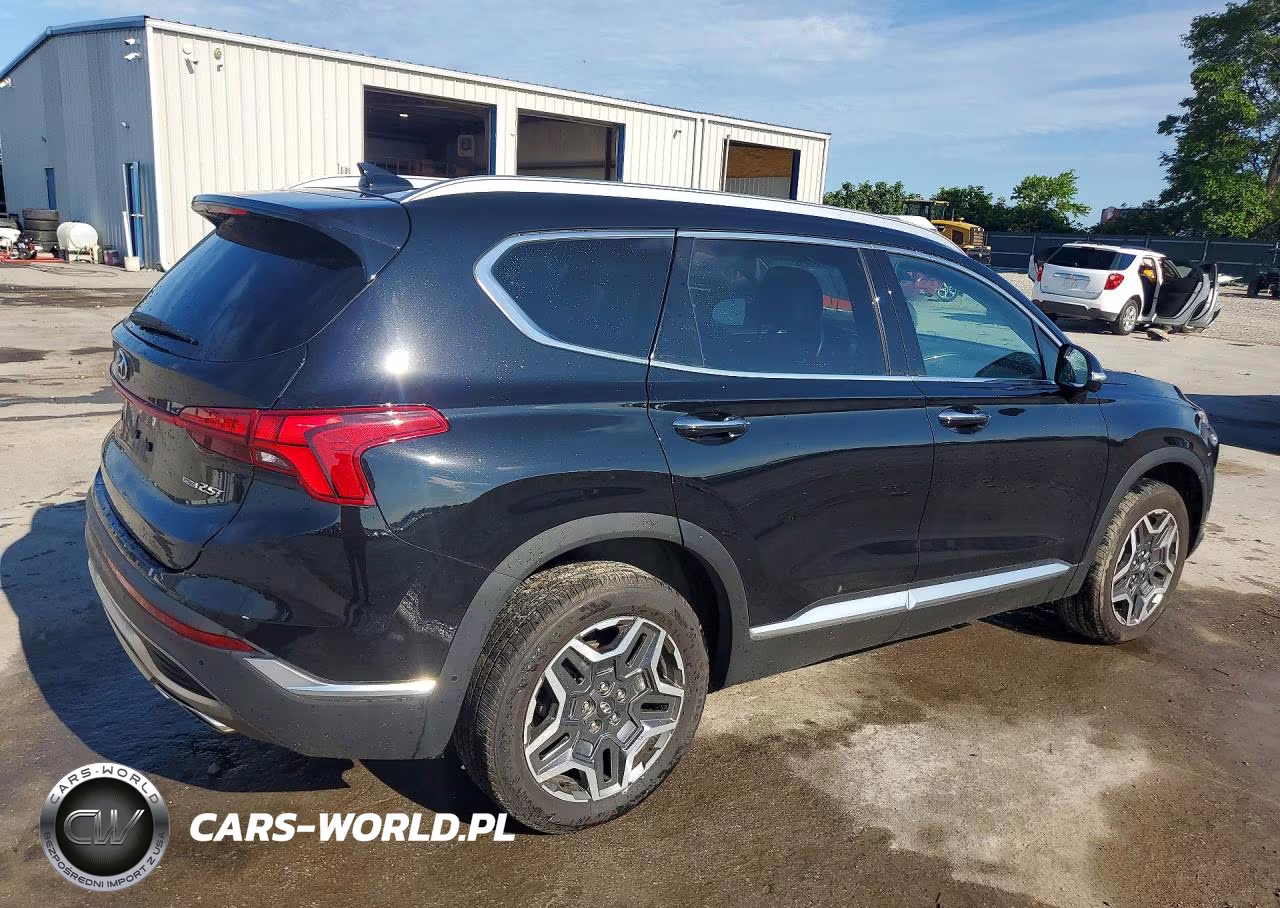 2021 Hyundai Santa Fe Limited VIN:5NMS4DAL2MH309388 - 3