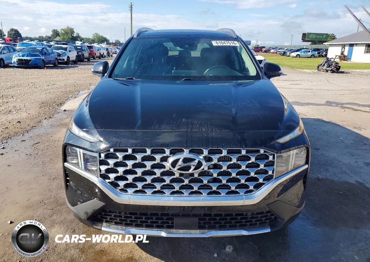 2021 Hyundai Santa Fe Limited VIN:5NMS4DAL2MH309388 - 5
