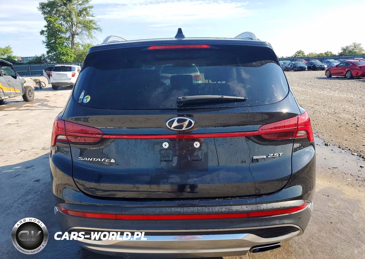 2021 Hyundai Santa Fe Limited VIN:5NMS4DAL2MH309388 - 6
