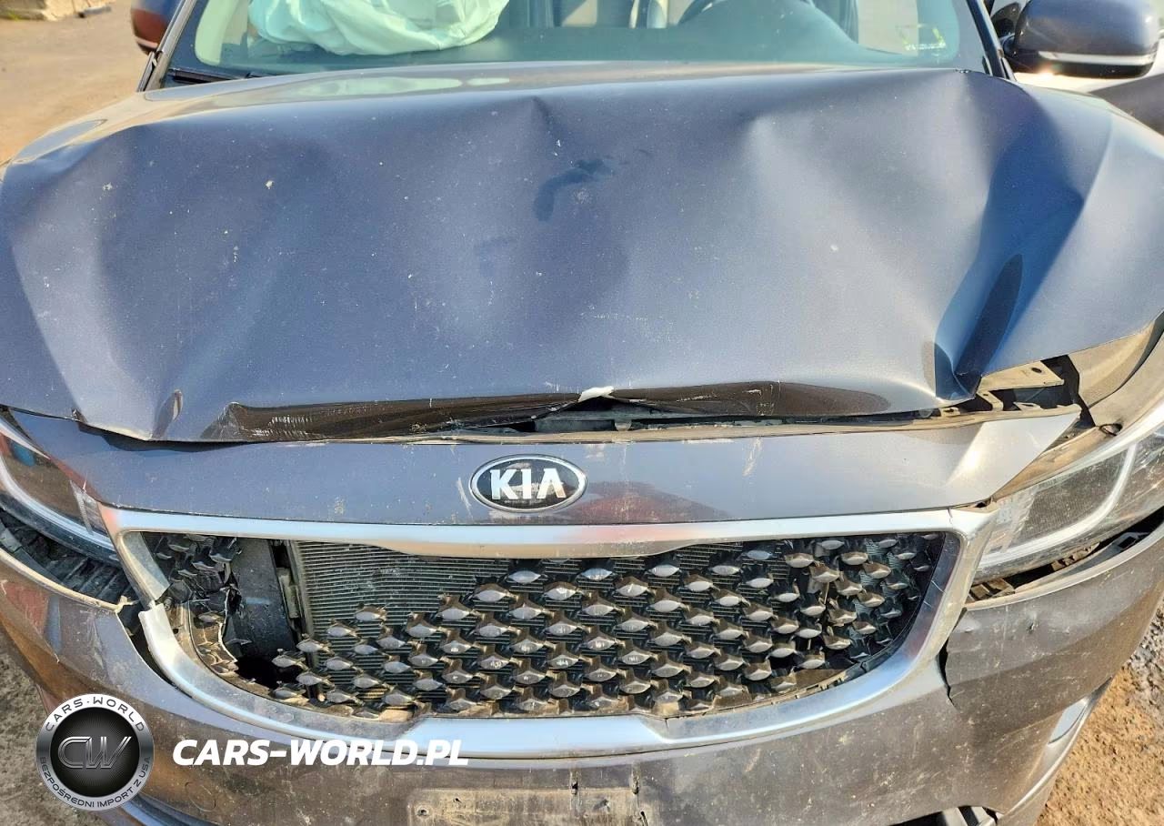 2016 Kia Sedona Ex VIN:KNDMC5C11G6140611 - 12