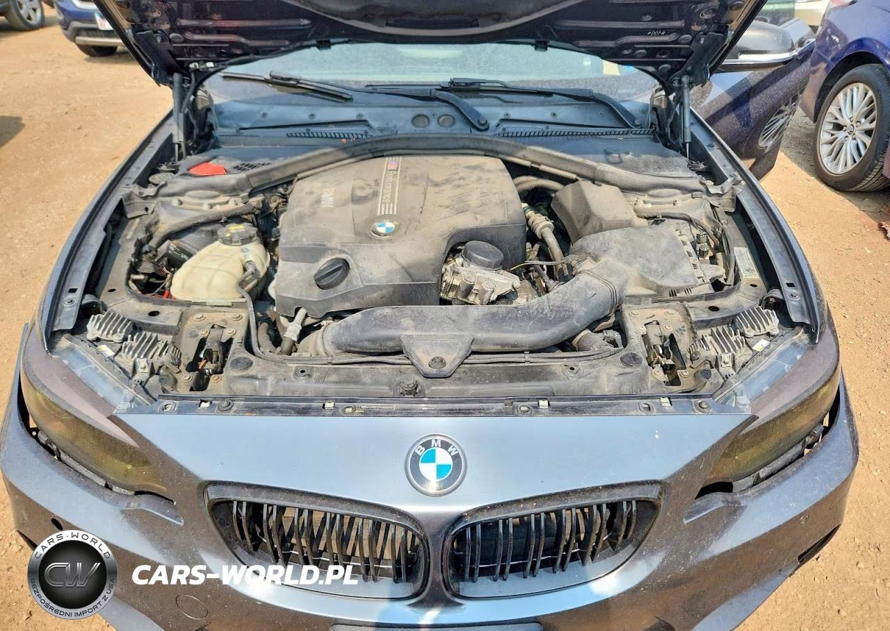 2015 BMW M235I VIN:WBA1J7C51FV358248 - 11