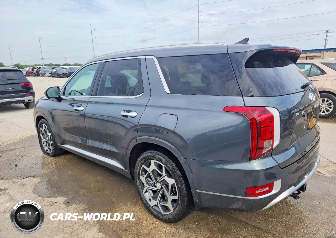 2021 Hyundai Palisade Calligraphy VIN:KM8R74HE6MU281533 - 2