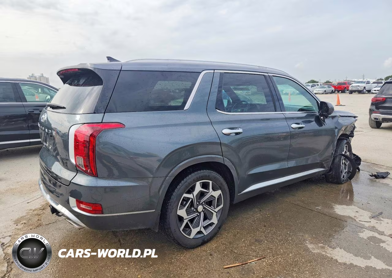 2021 Hyundai Palisade Calligraphy VIN:KM8R74HE6MU281533 - 3