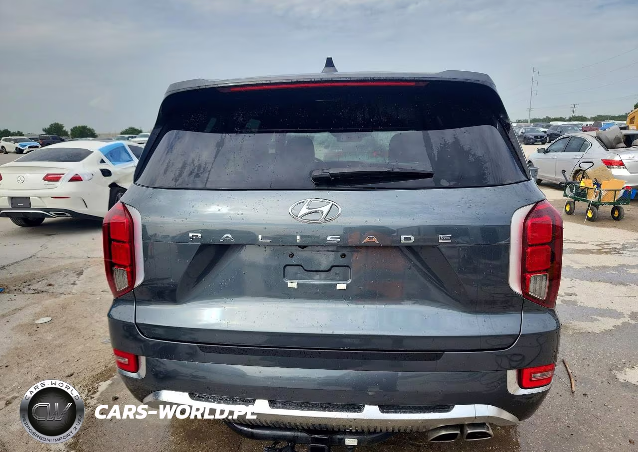 2021 Hyundai Palisade Calligraphy VIN:KM8R74HE6MU281533 - 6