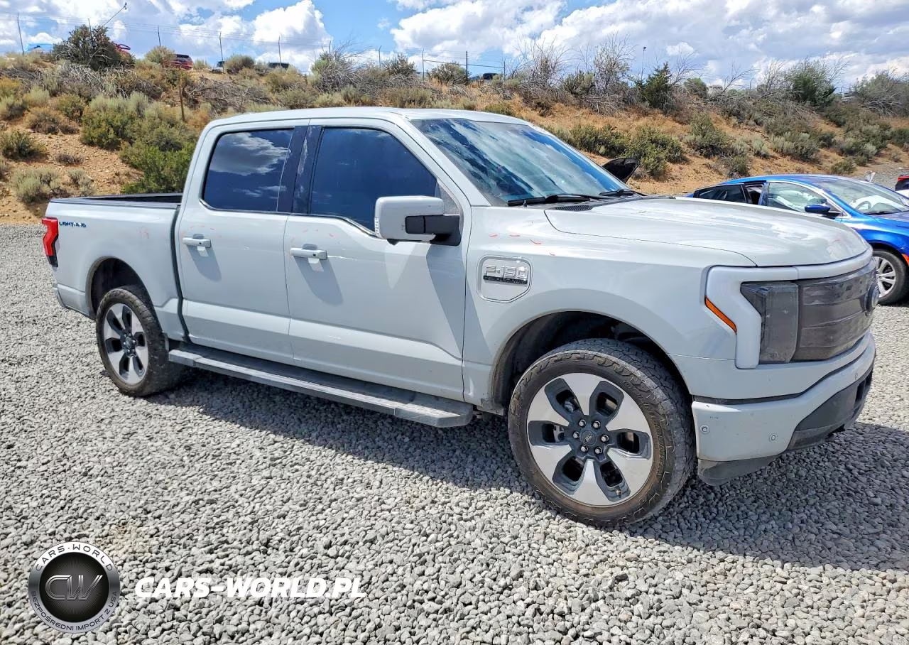 2023 Ford F150 Lightning Pro VIN:1FT6W1EV2PWG26420 - 4