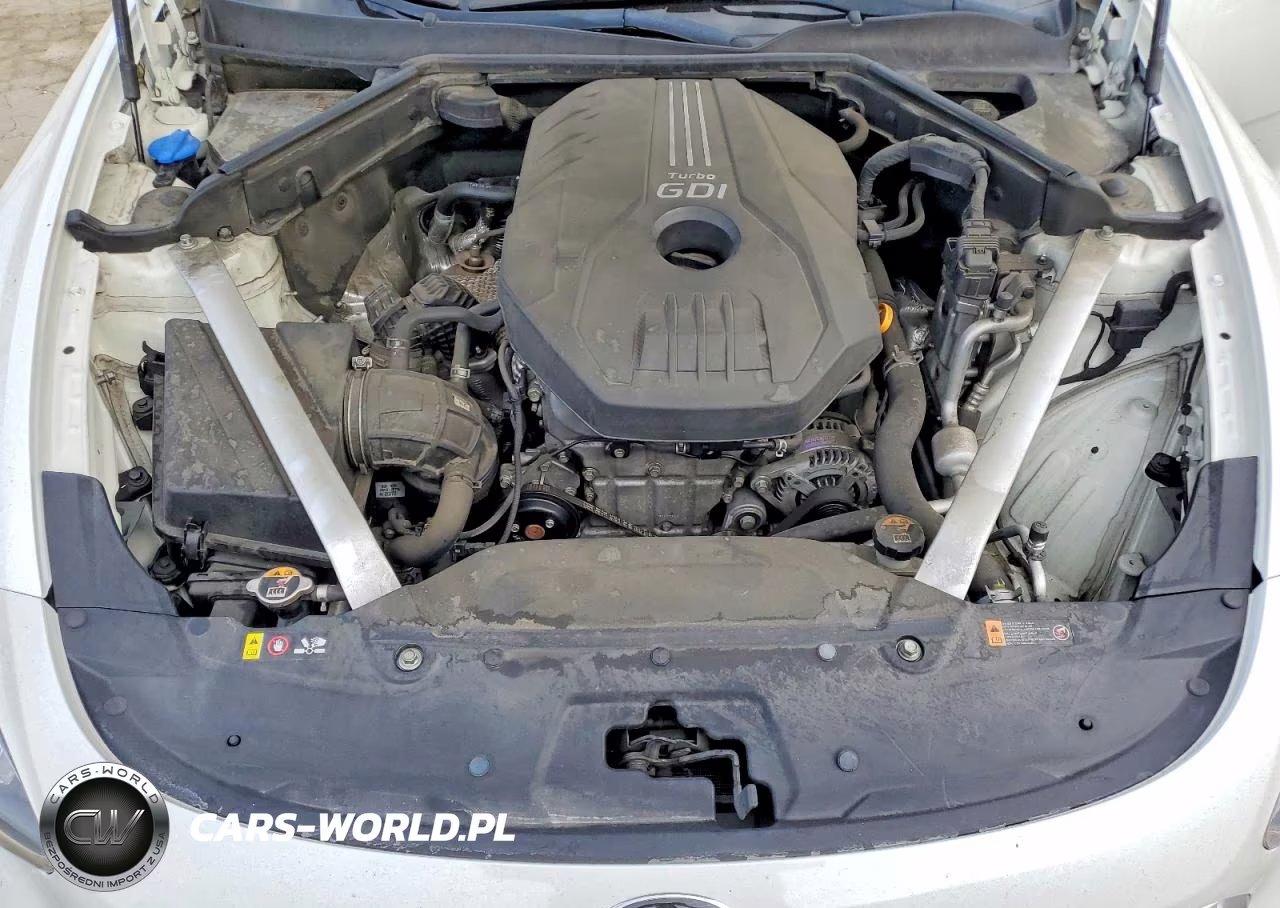 2019 Kia Stinger Base VIN:KNAE15LA2K6067118 - 11