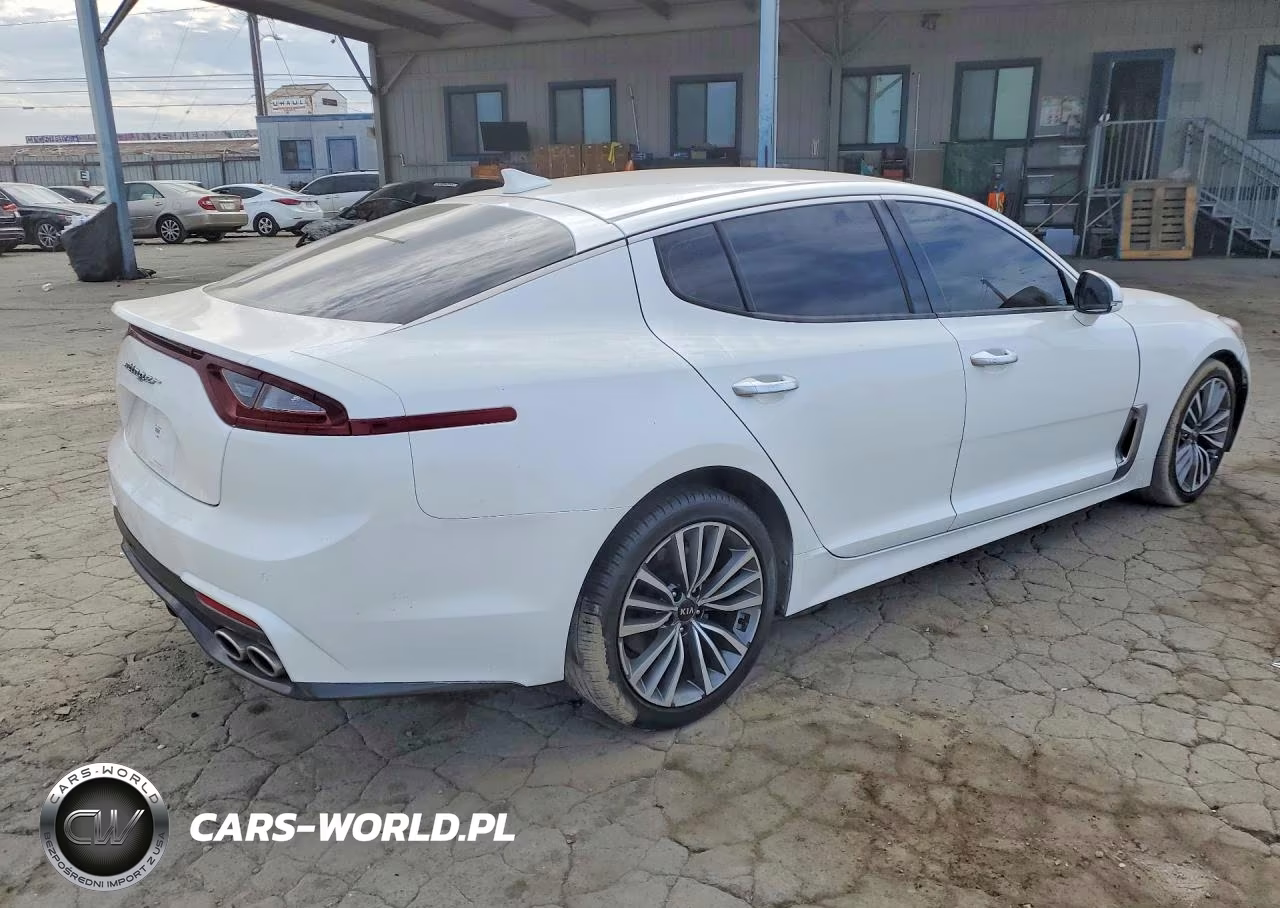 2019 Kia Stinger Base VIN:KNAE15LA2K6067118 - 3