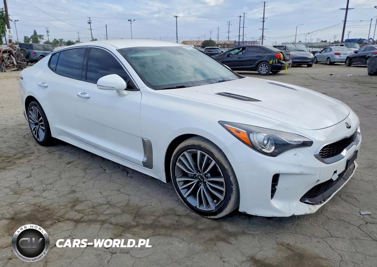 2019 Kia Stinger Base VIN:KNAE15LA2K6067118 - 4
