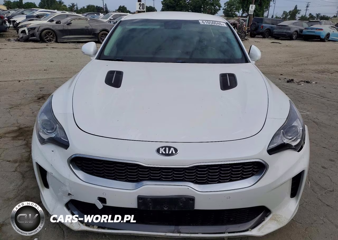2019 Kia Stinger Base VIN:KNAE15LA2K6067118 - 5
