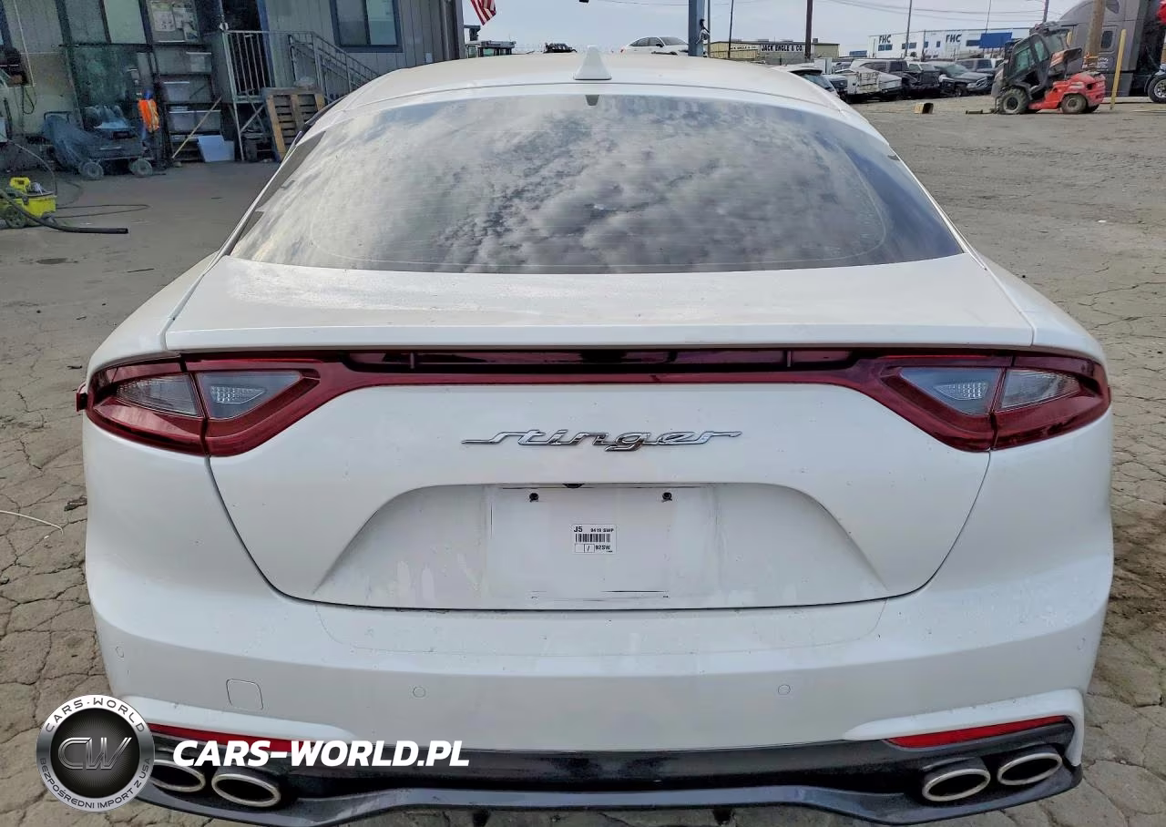 2019 Kia Stinger Base VIN:KNAE15LA2K6067118 - 6