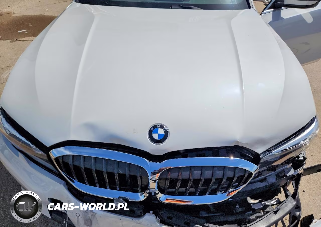 2020 BMW 330 VIN:3MW5R1J09L8B36750 - 11