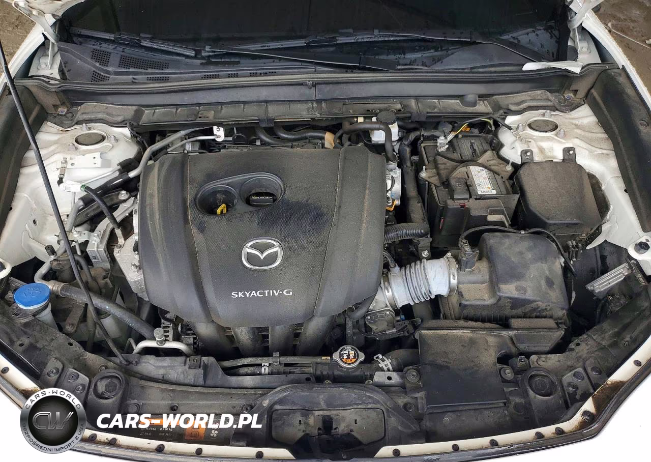 2020 Mazda Cx-30 Premium VIN:3MVDMAEM3LM101931 - 12