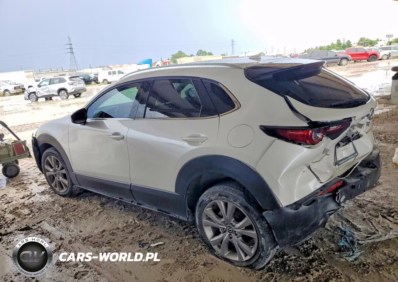 2020 Mazda Cx-30 Premium VIN:3MVDMAEM3LM101931 - 2