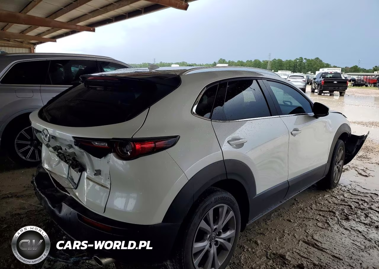 2020 Mazda Cx-30 Premium VIN:3MVDMAEM3LM101931 - 3