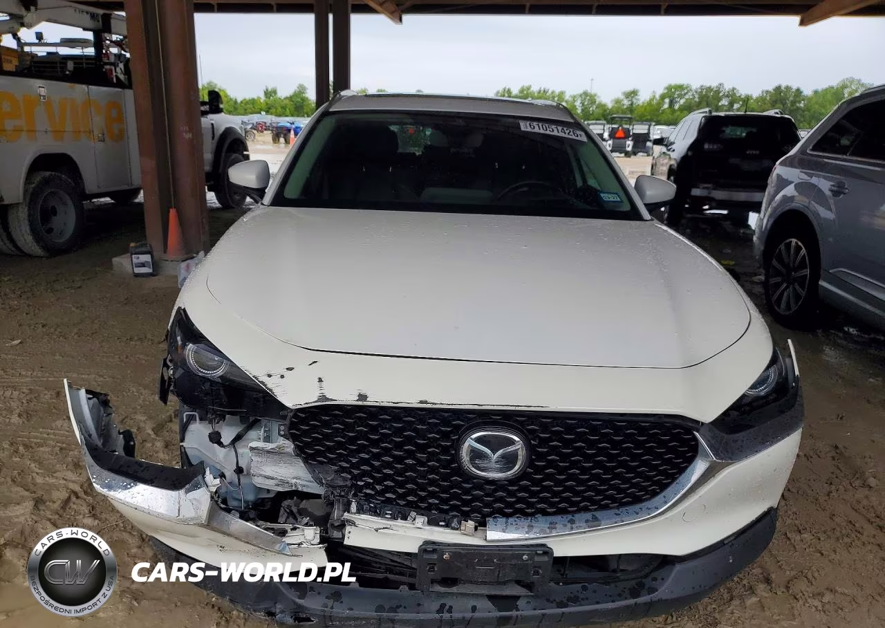 2020 Mazda Cx-30 Premium VIN:3MVDMAEM3LM101931 - 5