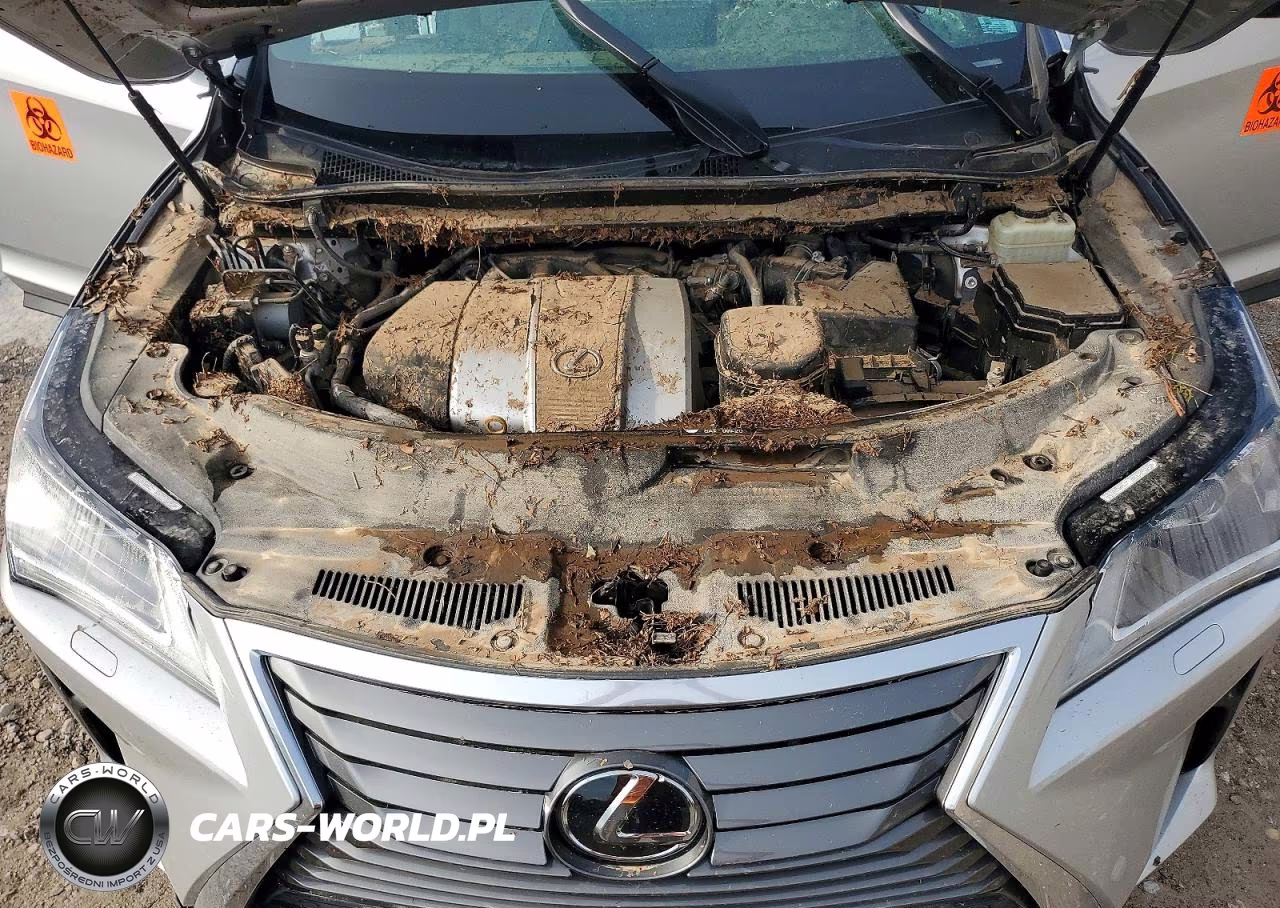 2016 Lexus Rx 350 Base VIN:2T2BZMCA4GC040491 - 12