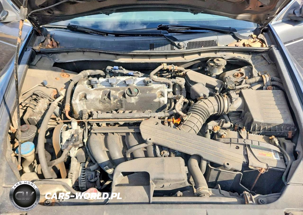 2010 Honda Accord VIN:1HGCP2F4XAA102921 - 11