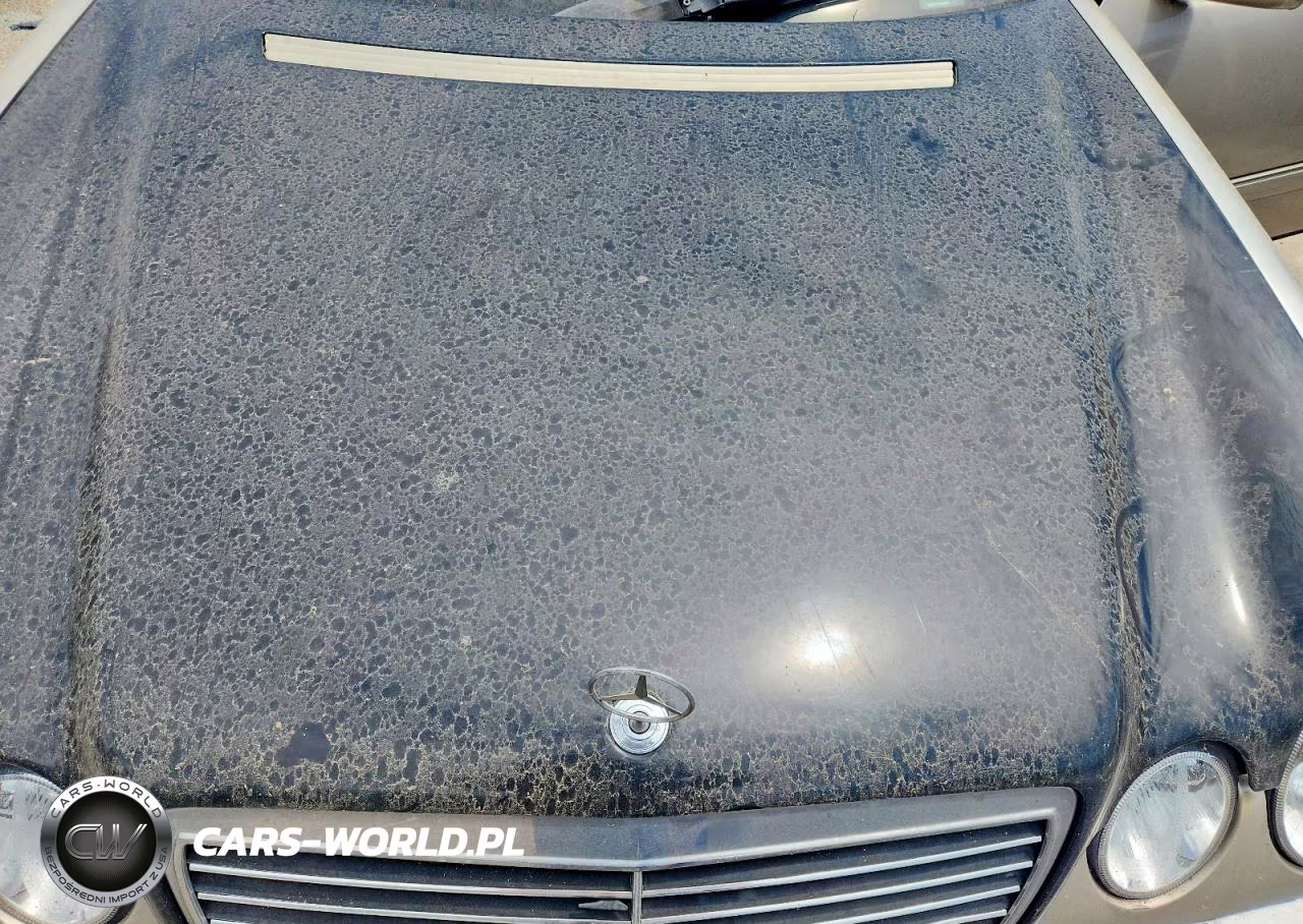 1999 Mercedes-Benz E 320 VIN:WDBJF65H3XA900947 - 11