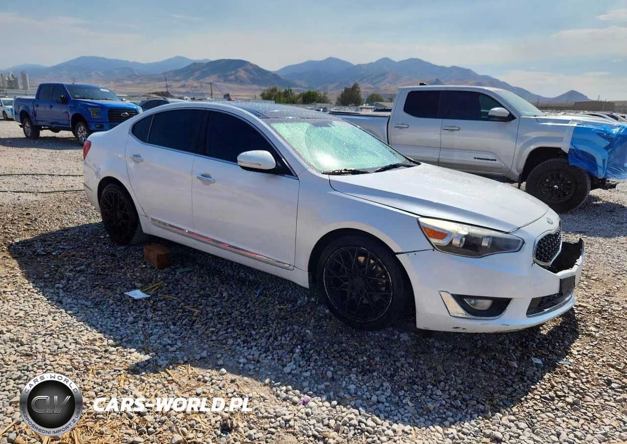 2014 Kia Cadenza Limited VIN:KNALN4D77E5164429 - 4