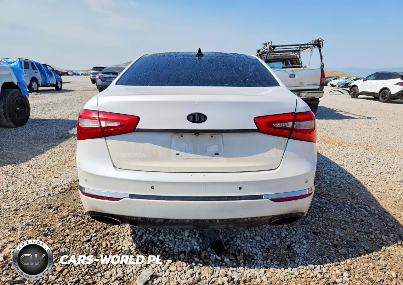 2014 Kia Cadenza Limited VIN:KNALN4D77E5164429 - 6
