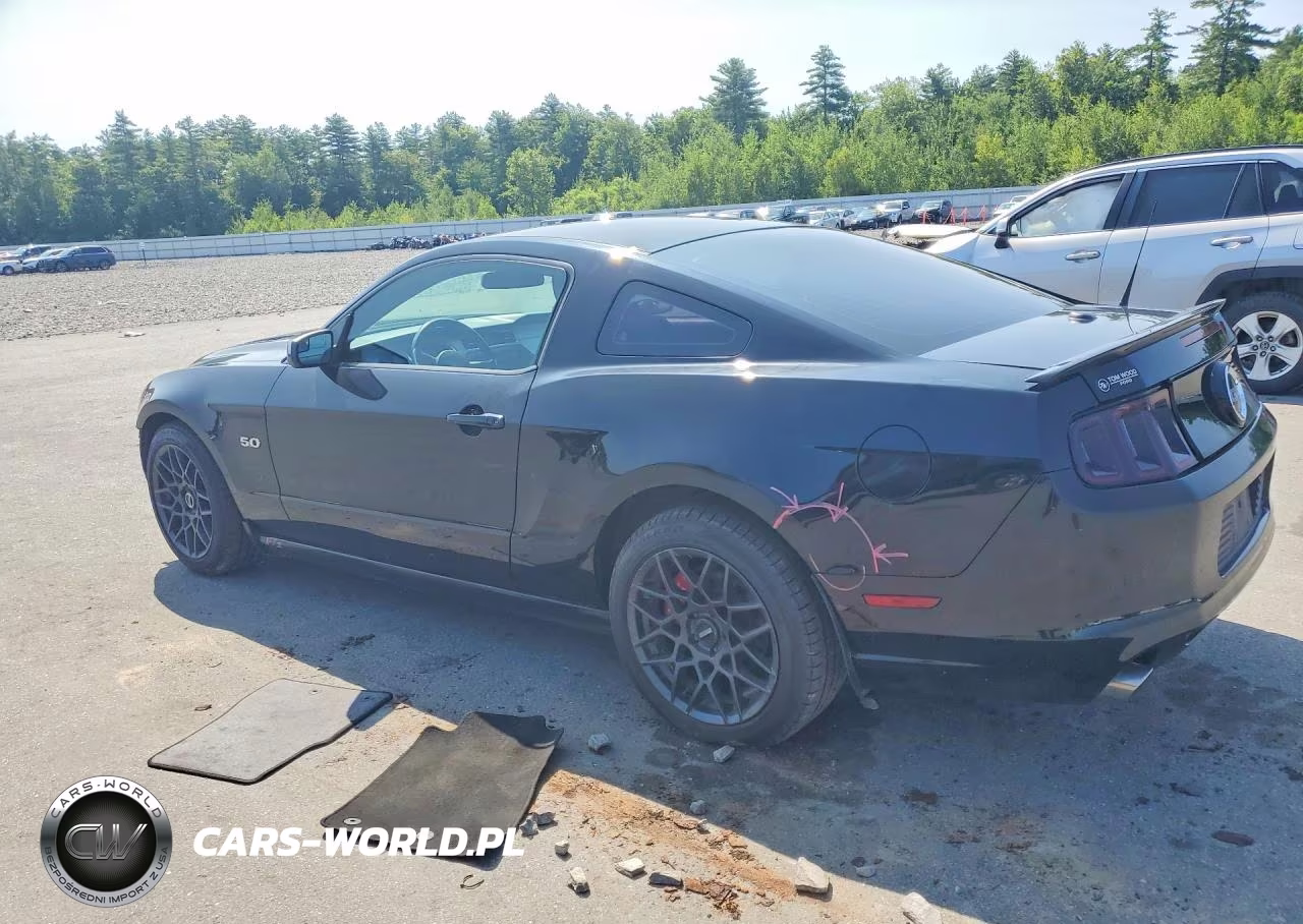 2013 Ford Mustang Gt VIN:1ZVBP8CFXD5200599 - 2