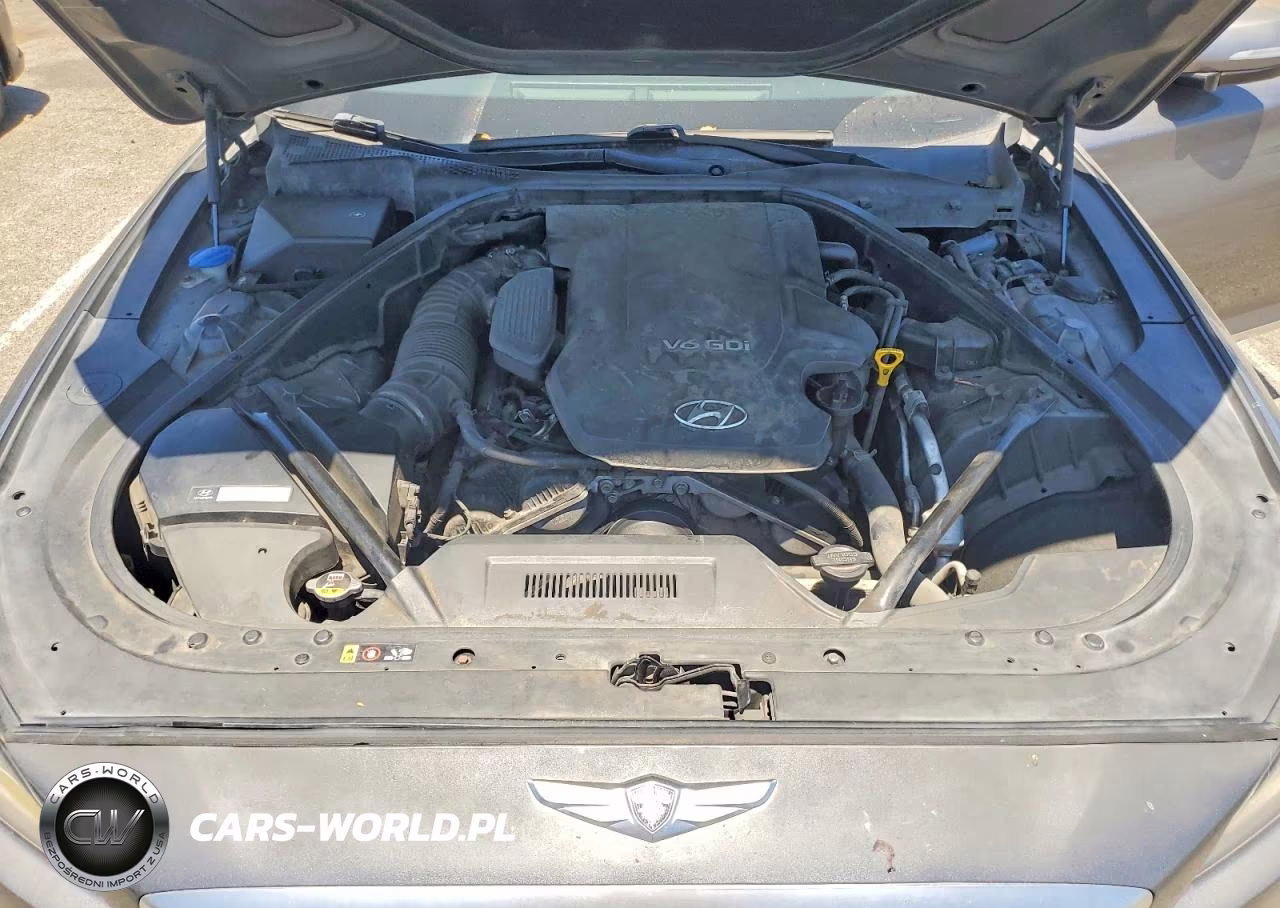 2015 Hyundai Genesis 3.8L VIN:KMHGN4JE6FU070505 - 11