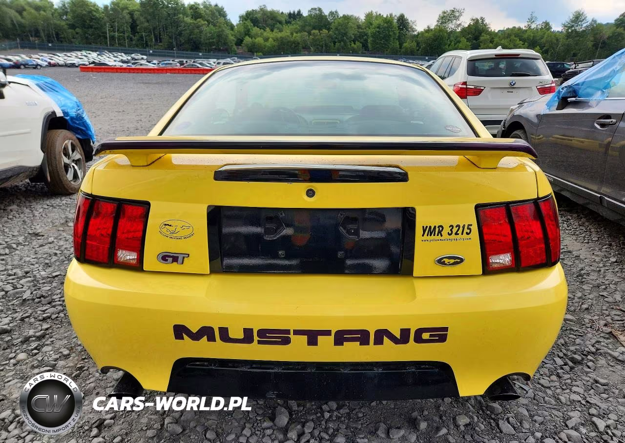 2002 Ford Mustang Gt VIN:1FAFP42X52F100852 - 6