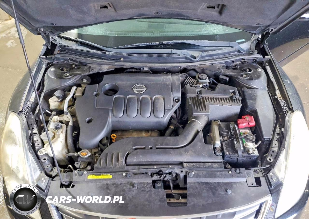 2010 Nissan Altima Base VIN:1N4AL2AP1AN448003 - 11