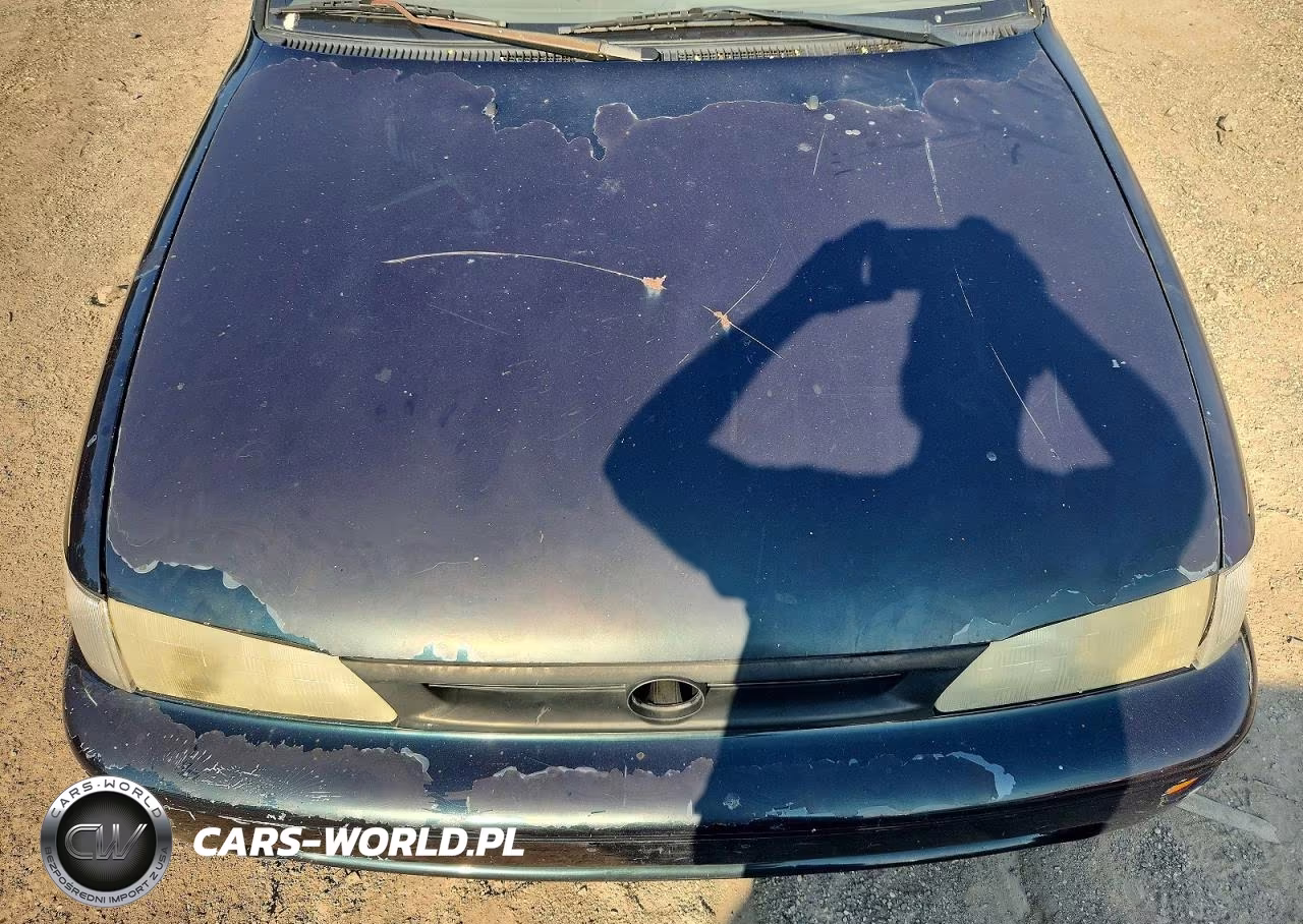 1997 Toyota Corolla Dx VIN:1NXBB02E6VZ599283 - 11